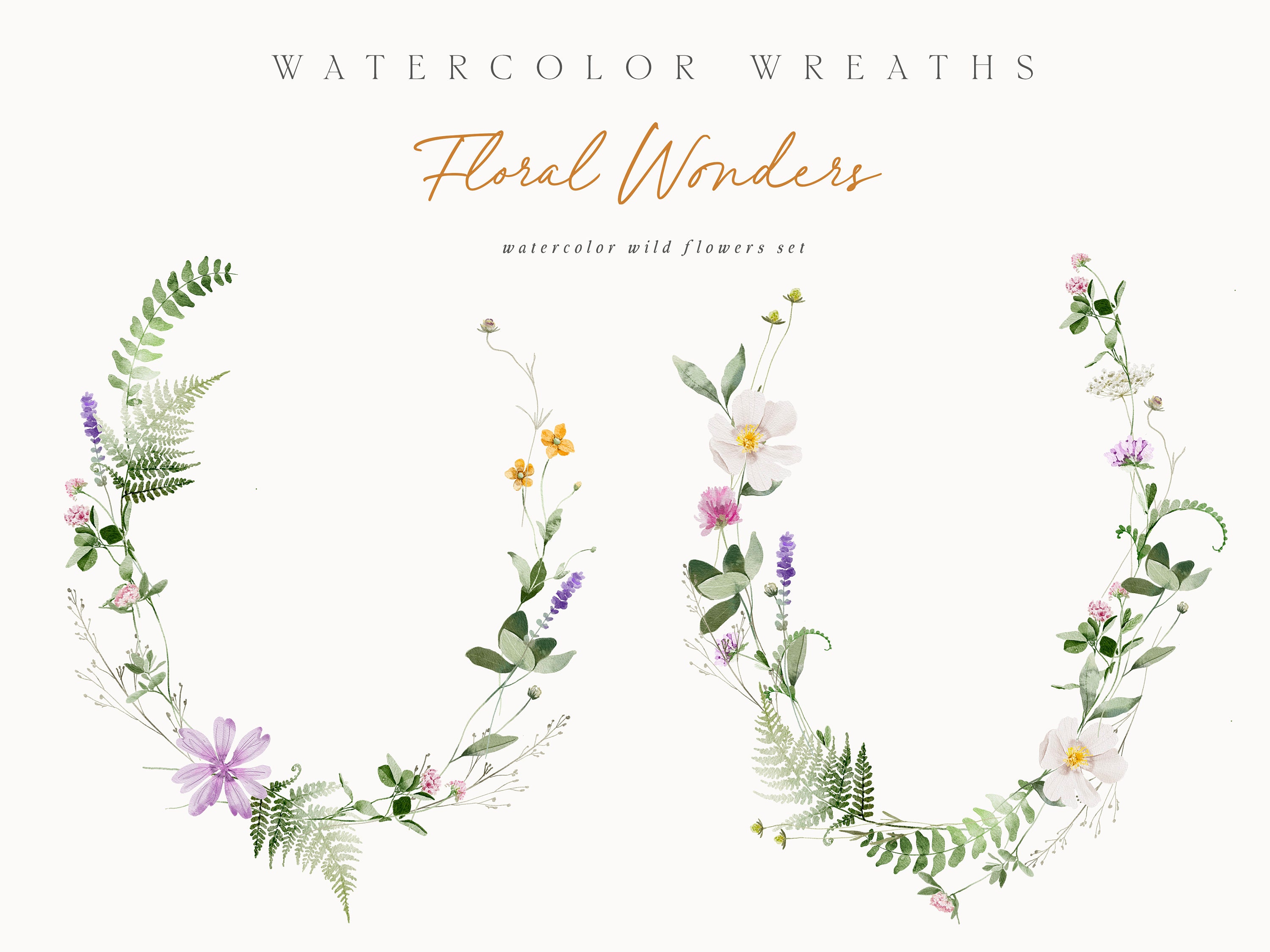 Watercolor Wild Flowers Clipart - Watercolor Clipart - Wild Floral ...