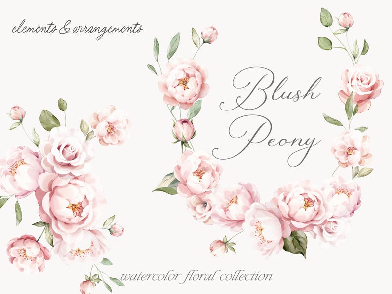 May include: Watercolor floral illustrations featuring blush pink peonies and greenery. The text "Blush Peony" is written in a cursive font. The text "watercolor floral collection" is written below the floral illustrations.