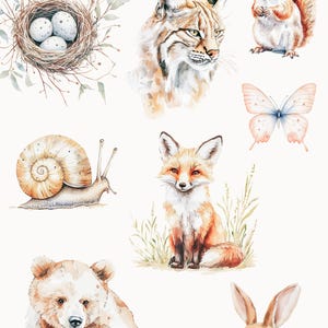 May include: Watercolor illustrations of forest animals, including a lynx, fox, bear, squirrel, snail, butterfly, and two rabbits. The illustrations are in a whimsical style with soft colors and details.