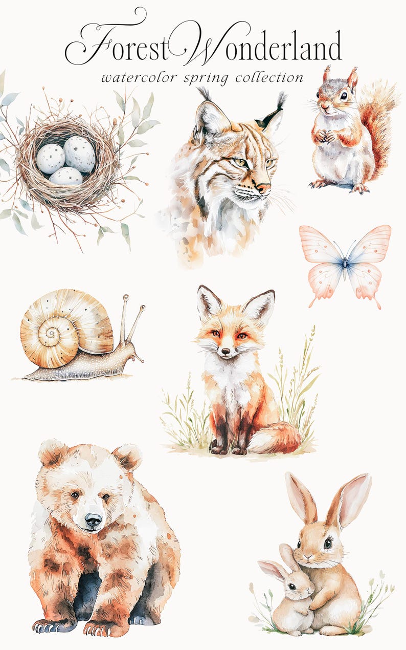 May include: Watercolor illustrations of forest animals, including a lynx, fox, bear, squirrel, snail, butterfly, and two rabbits. The illustrations are in a whimsical style with soft colors and details.