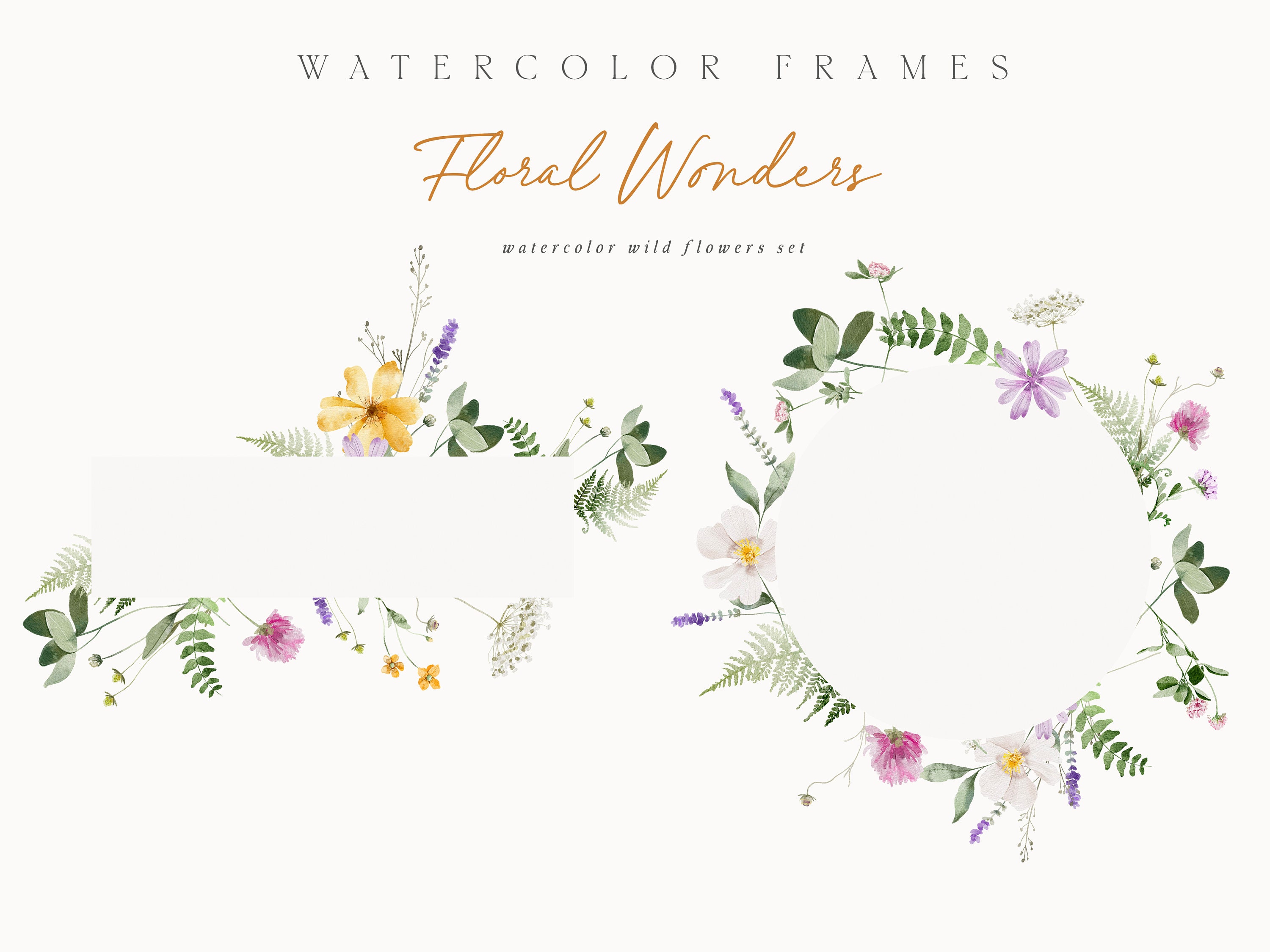 Watercolor Wild Flowers Clipart - Watercolor Clipart - Wild Floral ...
