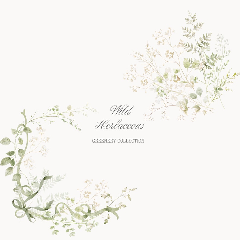 Puede incluir: Ilustraci&oacute;n en acuarela con delicada vegetaci&oacute;n y el texto "Wild Herbaceous GREENERY COLLECTION". El dise&ntilde;o incluye hojas, ramitas y cintas de color verde claro, dispuestas en un patr&oacute;n semicircular sobre un fondo crema.