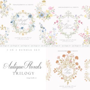 Barokke bloemen lijntekeningen bundel - bruiloft clipart-vintage Victoriaanse bundel - chinoiserie clipart - koninklijke sierlijsten - vintage bundel