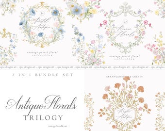 Barokke bloemen lijntekeningen bundel - bruiloft clipart-vintage Victoriaanse bundel - chinoiserie clipart - koninklijke sierlijsten - vintage bundel