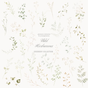 Puede incluir: Ilustraci&oacute;n en acuarela de varios elementos y arreglos de vegetaci&oacute;n. La imagen presenta ramitas de hojas y flores en tonos verdes, beige y marr&oacute;n. El texto de la imagen dice "greenery elements & arrangements" y "Wild Herbaceous".