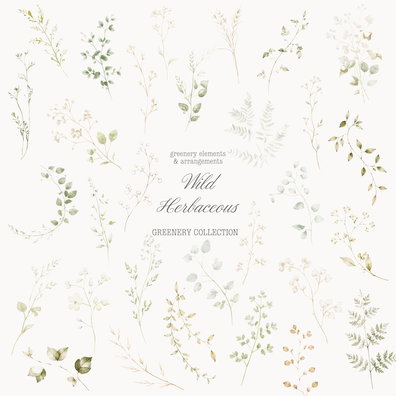 Puede incluir: Ilustraci&oacute;n en acuarela de varios elementos y arreglos de vegetaci&oacute;n. La imagen presenta ramitas de hojas y flores en tonos verdes, beige y marr&oacute;n. El texto de la imagen dice "greenery elements & arrangements" y "Wild Herbaceous".