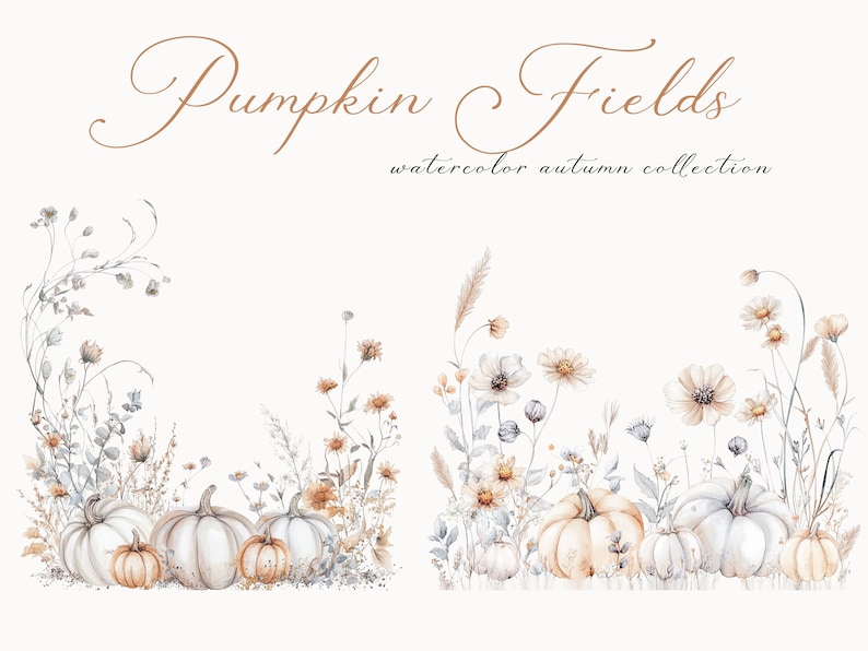Może przedstawiać: Aquarela przedstawiająca jesienną scenę z dyniami i dzikimi kwiatami. Tekst "Pumpkin Fields watercolor autumn collection" znajduje się w g&oacute;rnej części obrazu.
