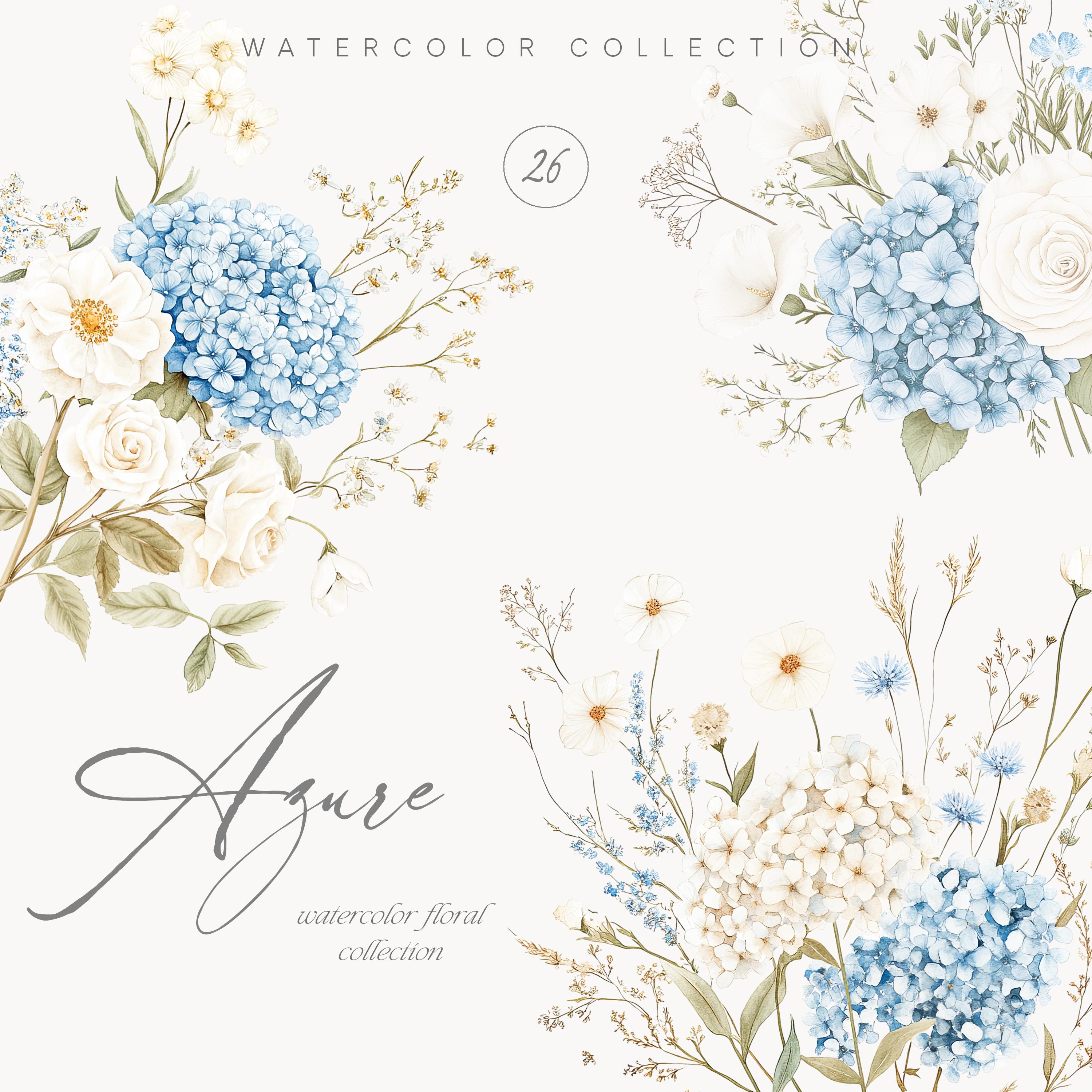 Ortensia e rosa Italia