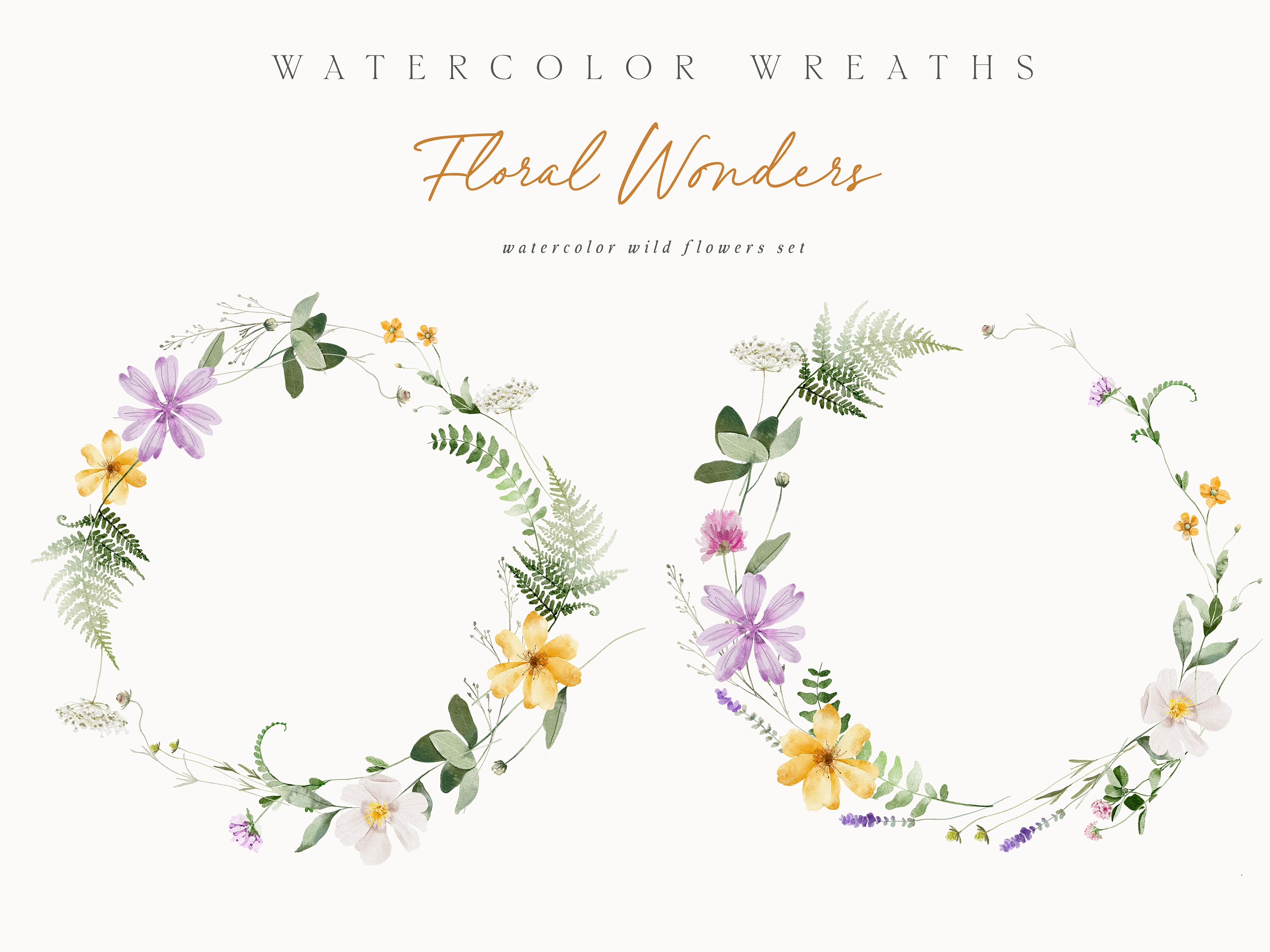 Watercolor Wild Flowers Clipart - Watercolor Clipart - Wild Floral ...