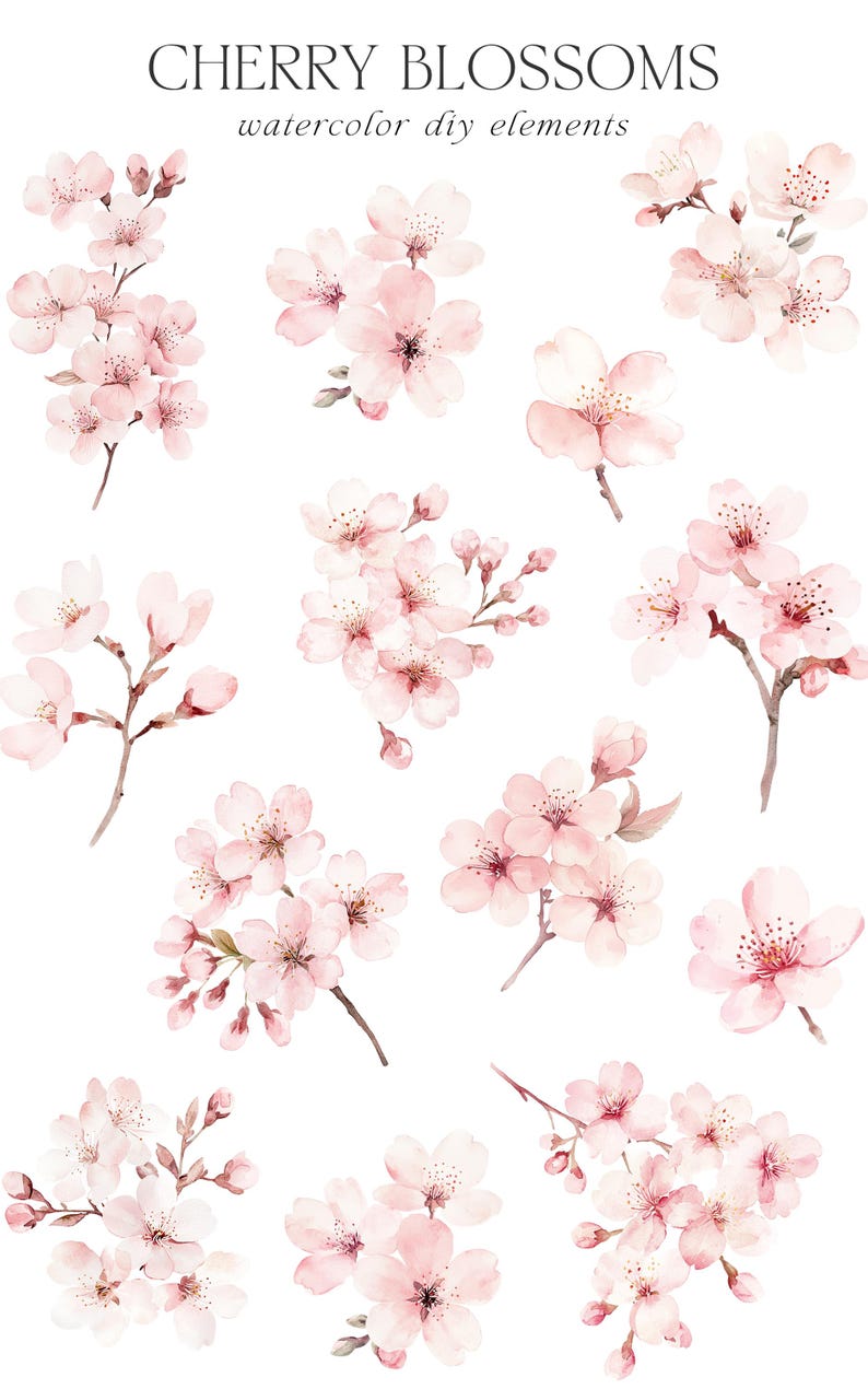 Op de afbeelding: Waterverfillustraties van roze kersenbloesems met gele centra en bruine stelen. De tekst "CHERRY BLOSSOMS watercolor diy elements" staat bovenaan.
