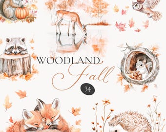 Watercolor Autumn Woodland Animals Clipart - Forest Animals Clipart - Cute Nursery Clipart - Nursery Forest Animals - Autumn Clipart - Fall