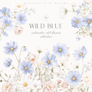 Può includere: Illustrazione ad acquerello con fiori selvatici, tra cui cosmi blu con centri gialli, margherite bianche e rose rosa. Il testo "WILD BLUE" e "watercolor wild flowers collection" è presente. Design floreale e delicato.