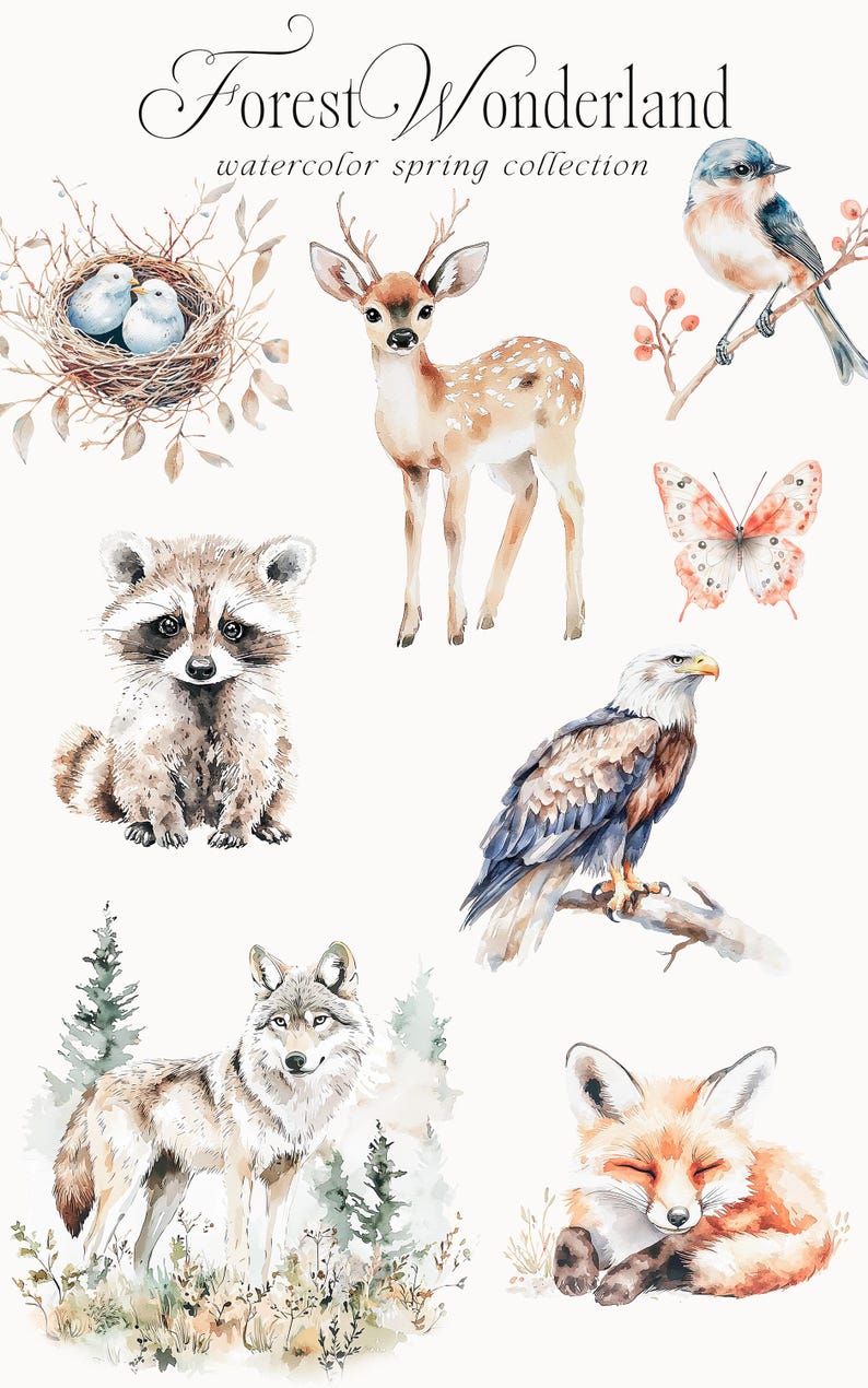 May include: Watercolor illustrations of forest animals, including a deer, raccoon, wolf, fox, eagle, and birds. The illustrations are in a whimsical style with soft colors and details.