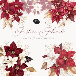 Clipart de arranjo floral festivo em aquarela, clipart floral festivo, clipart de Natal, clipart de guirlandas de Natal, flores de poinsétias