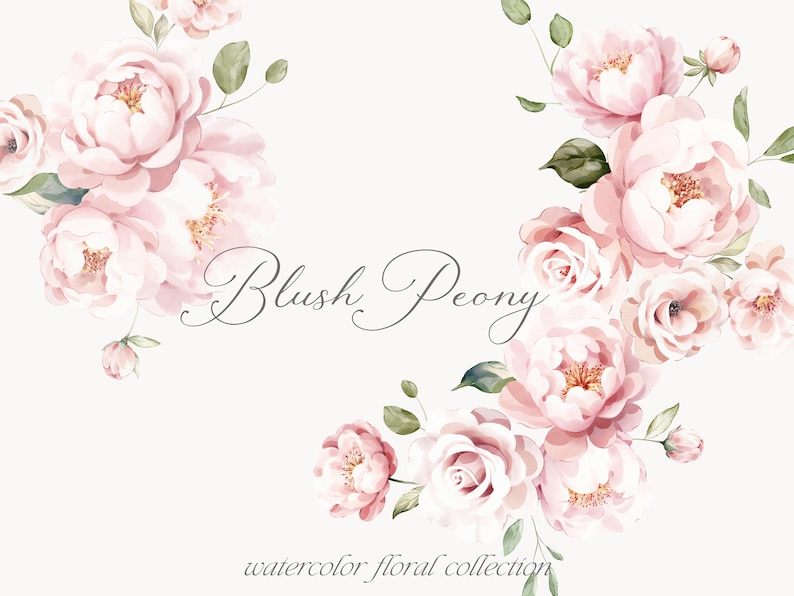 May include: Watercolor illustration of blush pink peonies and roses with green leaves. The text "Blush Peony watercolor floral collection" is at the bottom of the image.