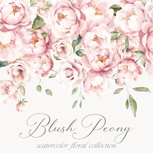 May include: A watercolor illustration of a bouquet of blush pink peonies with green leaves. The text "Blush Peony watercolor floral collection" is at the bottom of the image.