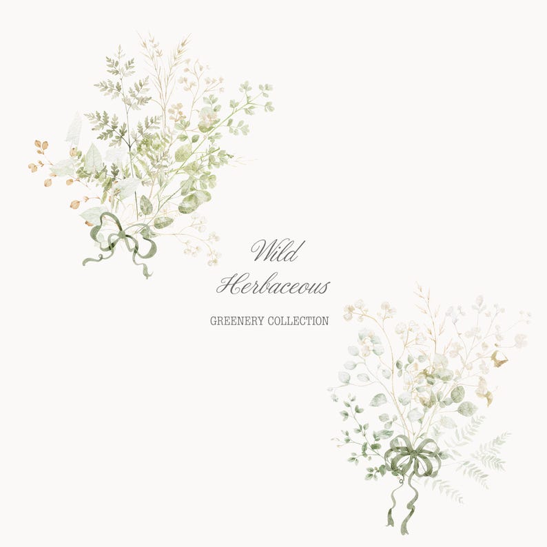Puede incluir: Ilustraci&oacute;n en acuarela de dos ramos de vegetaci&oacute;n silvestre, con hojas y tallos delicados en tonos verdes y beige. Cada ramo est&aacute; atado con una cinta verde. Se muestra el texto "Wild Herbaceous GREENERY COLLECTION".