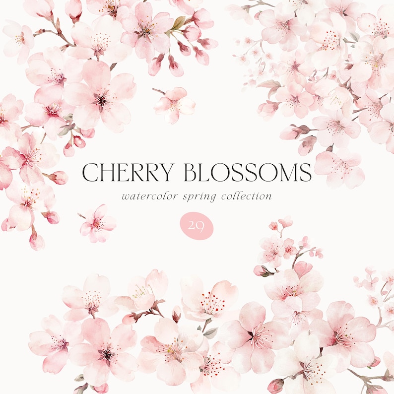 Op de afbeelding: Waterverfillustratie met delicate roze kersenbloesems. De afbeelding bevat de tekst "CHERRY BLOSSOMS watercolor spring collection" en een roze cirkel met het nummer 29. De bloesems zijn in een decoratief patroon gerangschikt.