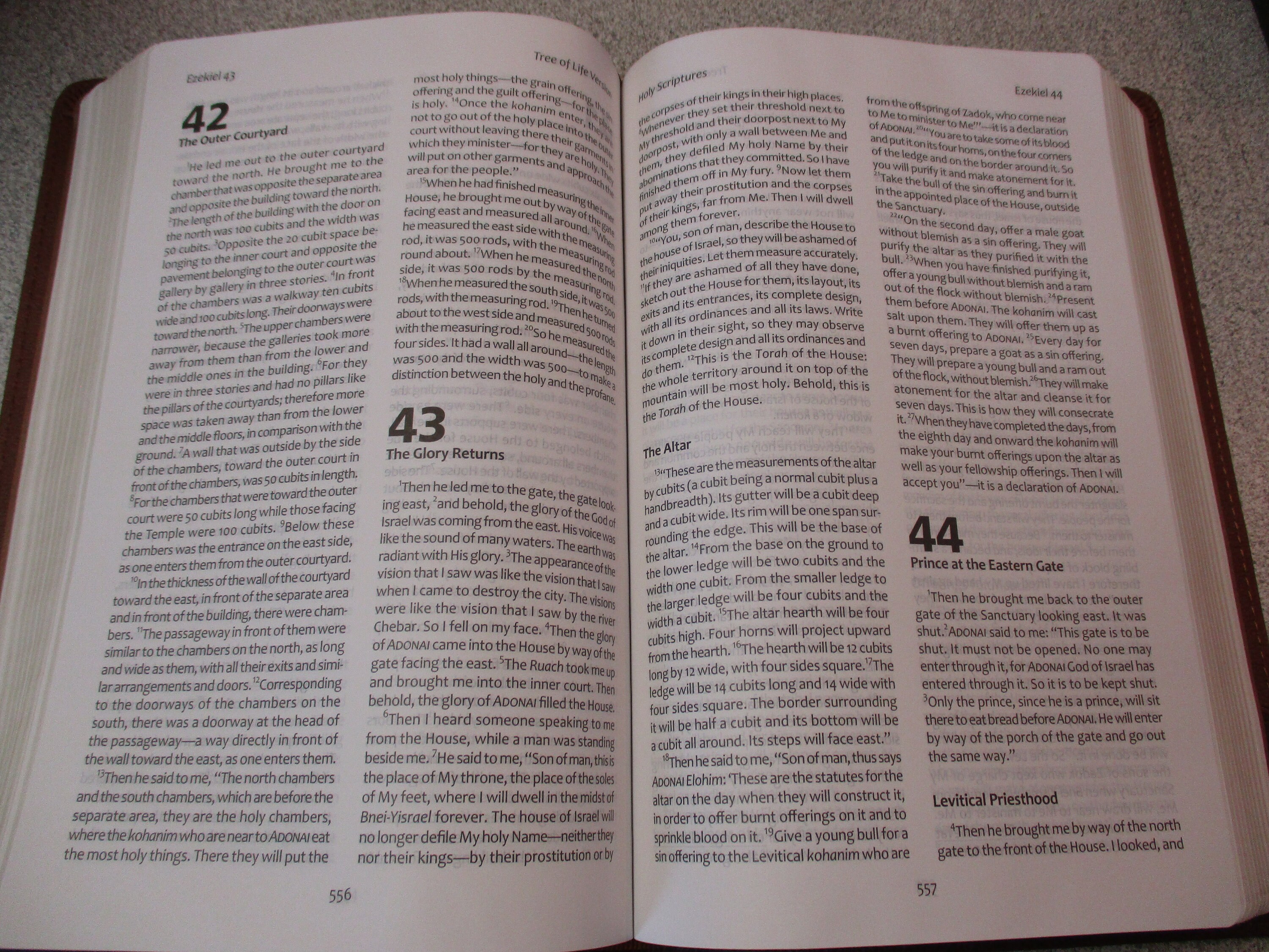 Personalized TREE Of LIFE Version Bible TLV Jewish Etsy