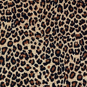 Leopard Print Poplin Cotton Fabric: 44" Wide Animal Print Material image 5