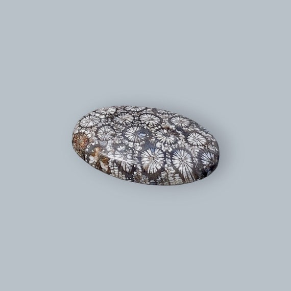 化石サンゴ宝石：手磨き石（31 x 21 x 6 mm） - Etsy 日本