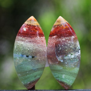 Blue Opalized Petrified Wood Multicolour Pairs