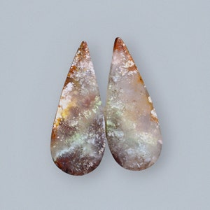 Blue Opalized Petrified Wood Multicolour Pairs Earring, Healing Drop Earrings, Opal Earrings, Inner Peace Meditation Grounding Earrings Gift