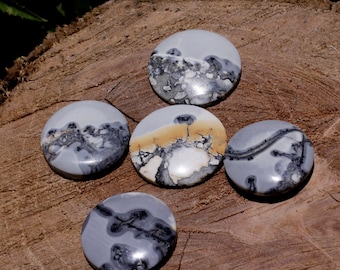 Maligano Pictorial Jasper round shape 23mm