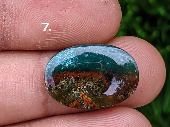 Blue Opal Petrified Wood Gemstone Cabochons: Jewelry Setting