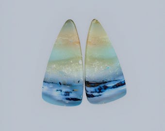 Blue Opalized Petrified Wood Pair Earring Jewelry,Indonesia Opal Gemstone,Gemstone For Making Jewelry,Polished Stone,Earring Jewelry Gift