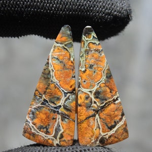 Rare Opalized Petrified Wood Copper Inside Pair Earring  , Indonesia Opal Gemstone, Hand Polished Stone