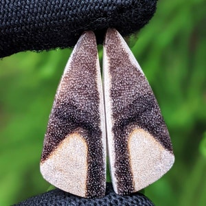 Könnte beinhalten: Ein Paar dreieckige Ohrringe aus Holz mit einem schwarz-weißen gefleckten Muster.