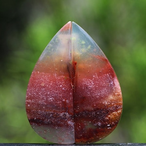 Blue Opalized Petrified Wood Multicolour Pairs