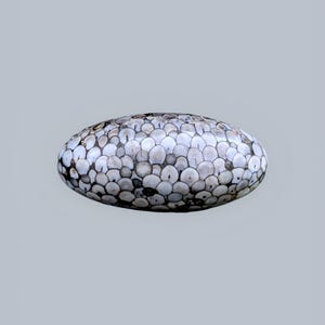 May include: An oval-shaped object with a smooth, rounded surface covered in a dense, overlapping pattern of small, circular, white and grey shell-like segments. The texture resembles a mosaic of natural, polished, light-colored stone or shell pieces.