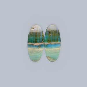 Blue Opalized Petrified Wood Pair Earring ,High Quality Earring jewelry ,Loose Gemstone For Making Jewelry, Gift Personal, Gift Wedding