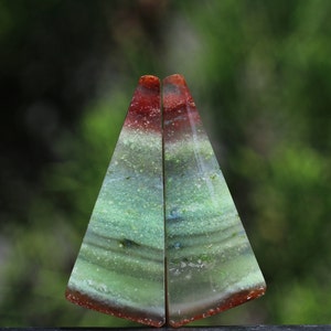 Blue Opalized Petrified Wood Multicolour Pairs