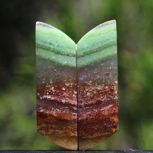 Blue Opalized Petrified Wood Multicolour Copper Inside Pairs