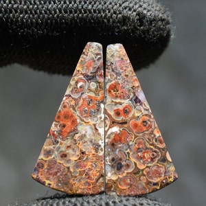 Rare Opalized Petrified Wood Copper Inside Pair Earring  , Indonesia Opal Gemstone, Hand Polished Stone