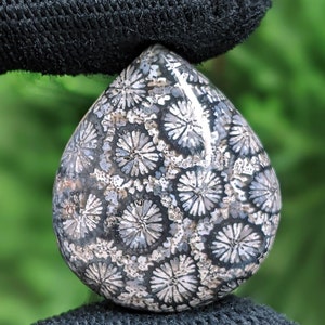 Fossilized Coral, Indonesia Fossilized Gemstone, Loose Gemstone For Making Jewelry, Hand Polished Stone