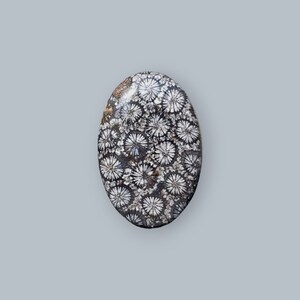 Fossilized Coral, Indonesia Fossilized Gemstone, Loose Gemstone For Making Jewelry, Hand Polished Stone