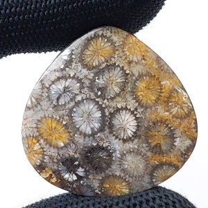 Fossilized Coral, Indonesia Fossilized Gemstone, Loose Gemstone For Making Jewelry, Hand Polished Stone