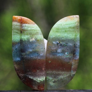 Blue Opalized Petrified Wood Multicolour Pairs