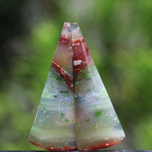 Blue Opalized Petrified Wood Multicolour Pairs