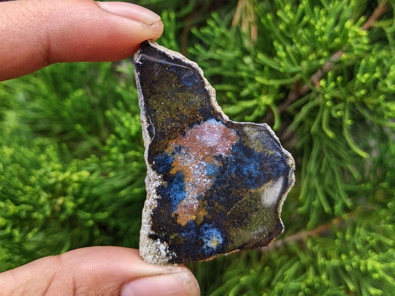 Blue Opal Wood Multicolour Specimen Slab Polished Rare Mineral - Etsy