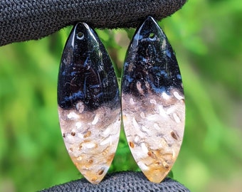 Fossilized Palm Root Pair Erring, Indonesia Fossilized Gemstone, Loose Gemstone For Making Jewelry, Hand Polished Stone