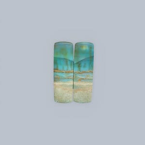 Blue Opalized Petrified Wood Pair Earring ,High Quality Earring jewelry ,Loose Gemstone For Making Jewelry, Gift Personal, Gift Wedding