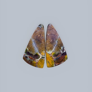 May include: A pair of triangular shaped cabochons with a colorful, abstract pattern in shades of brown, yellow, green, and white.