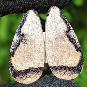 Par de pendientes de madera petrificada de Java: joyería con piedras preciosas fosilizadas
