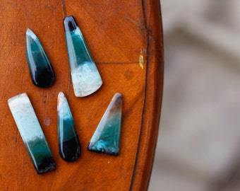 Blue Opalized Petrified Wood