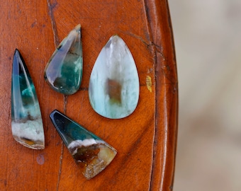 Bois pétrifié bleu opalisé